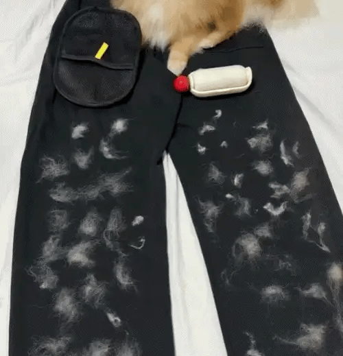 Magic Brush™ - Huisdierhaar Verwijderaar voor Textiel