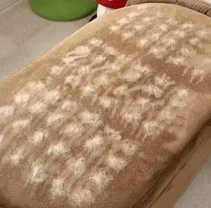 Magic Brush™ - Huisdierhaar Verwijderaar voor Textiel