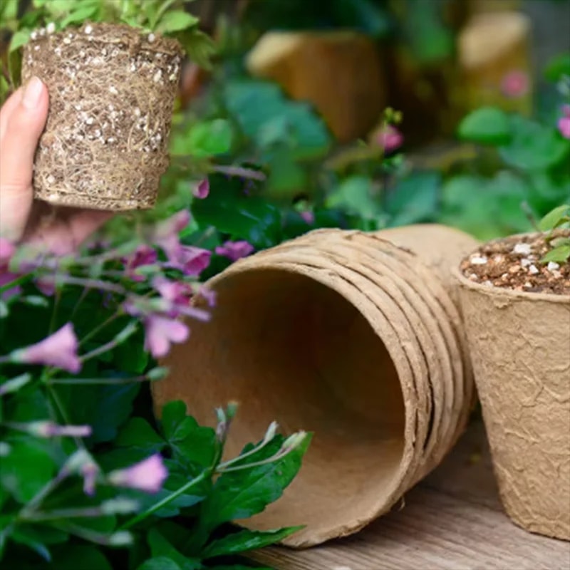 Hand met een kluit aarde en wortels naast plantpotjes van papierpulp