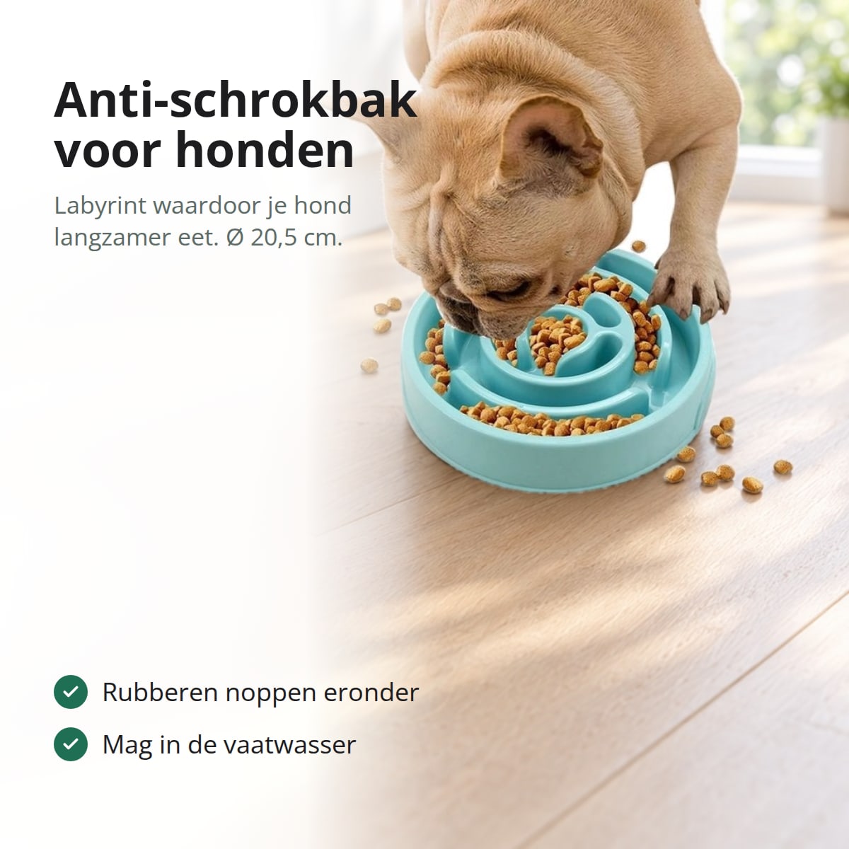 Franse bulldog die droogvoer eet uit een turquoise anti-schrokbak met labyrint op een keukenvloer