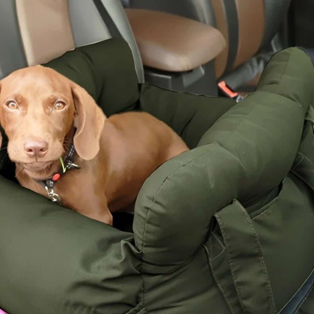 Bruine hond ligt in de groene auto hondenmand op de achterbank
