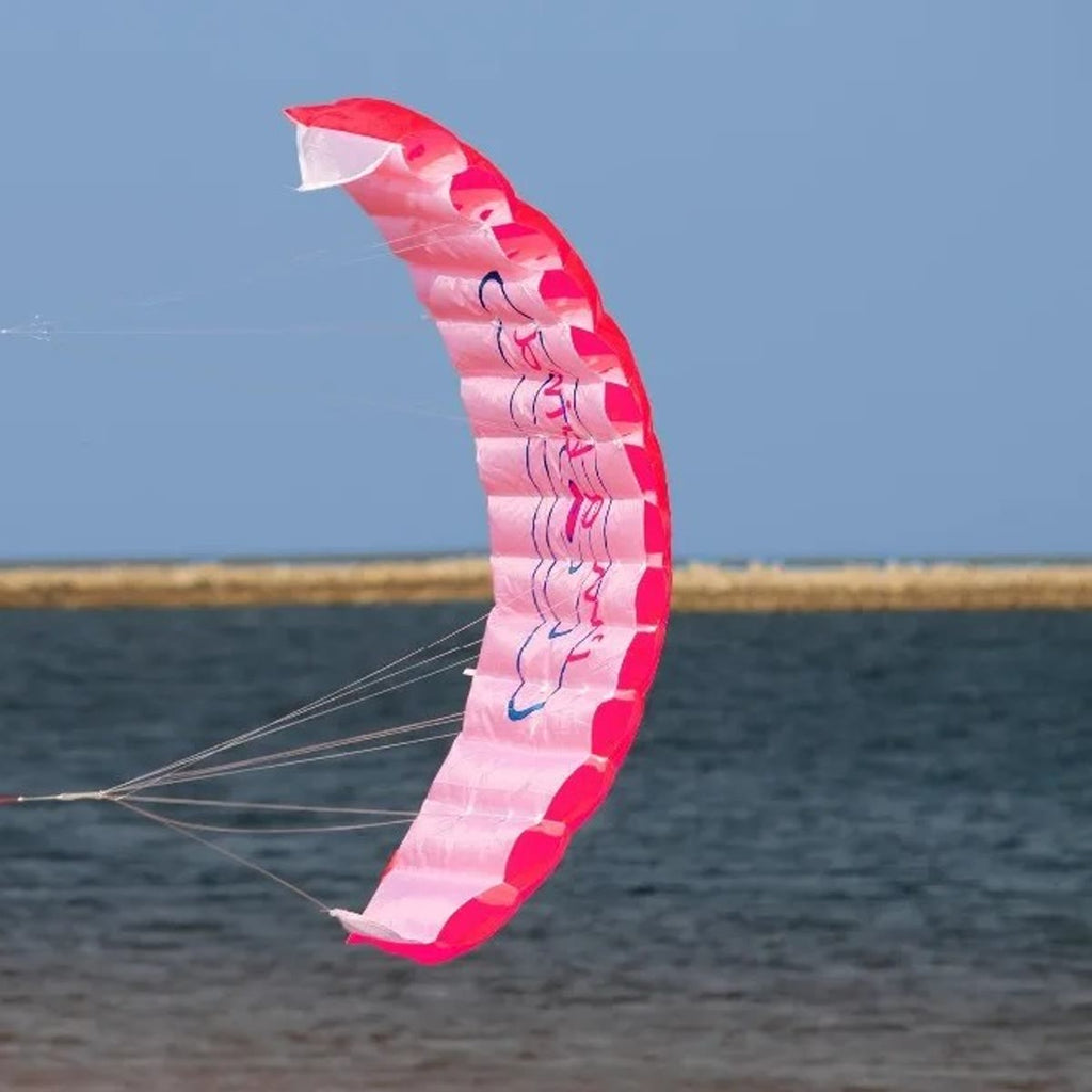 De rode vlieger boven de zee, met een zandbank op de achtergrond