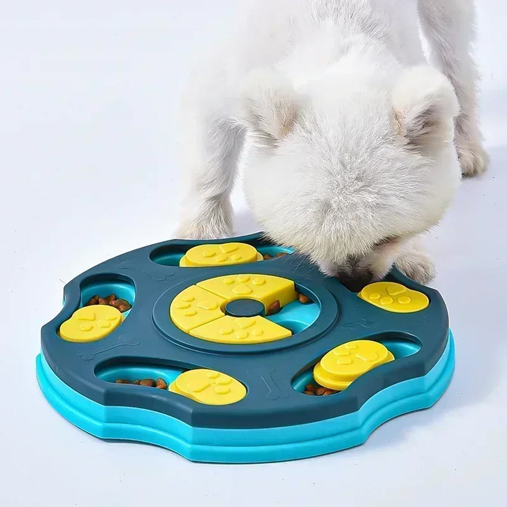 Klein wit hondje dat in het blauwe denkspel naar snoepjes snuffelt