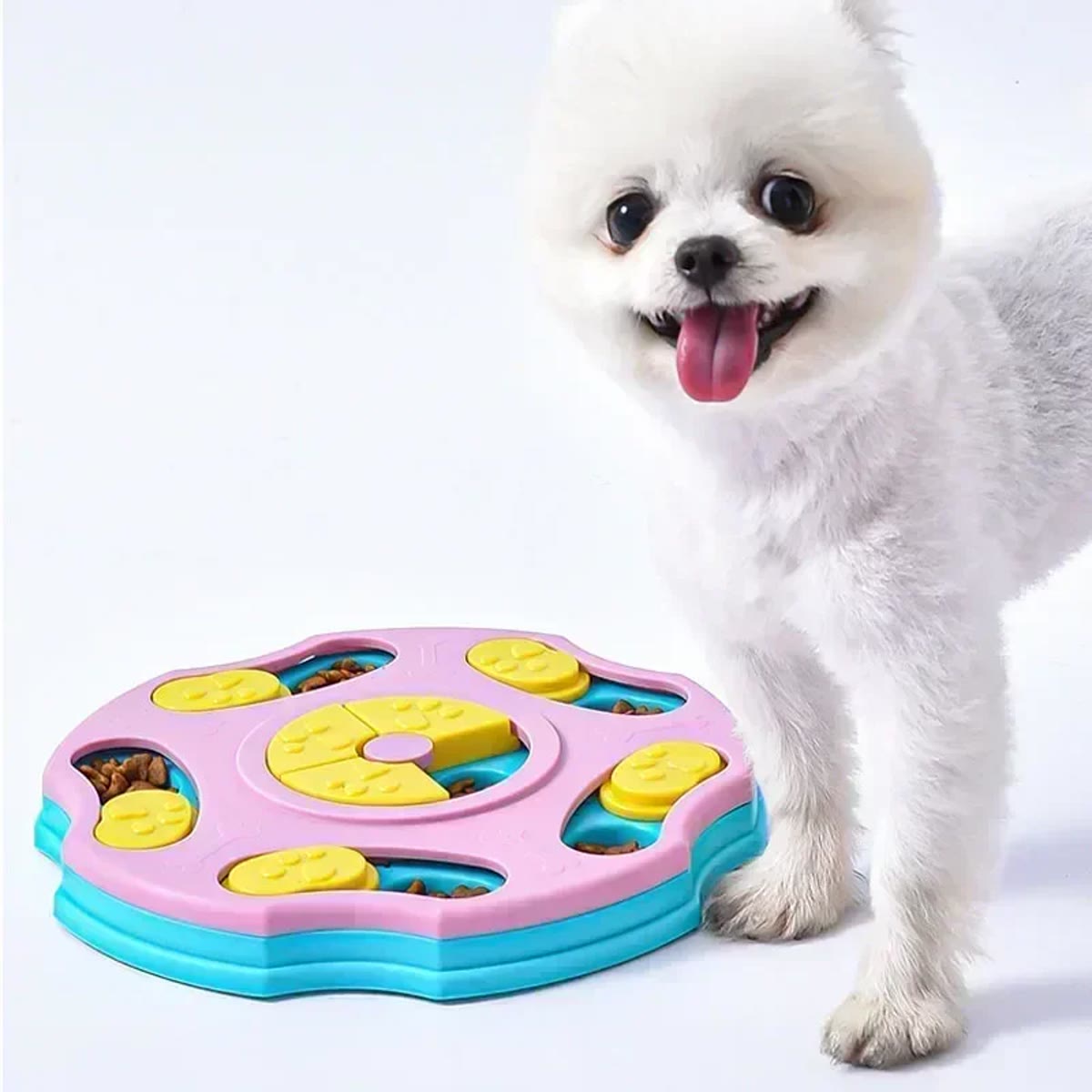 Blij wit hondje naast het roze denkspel