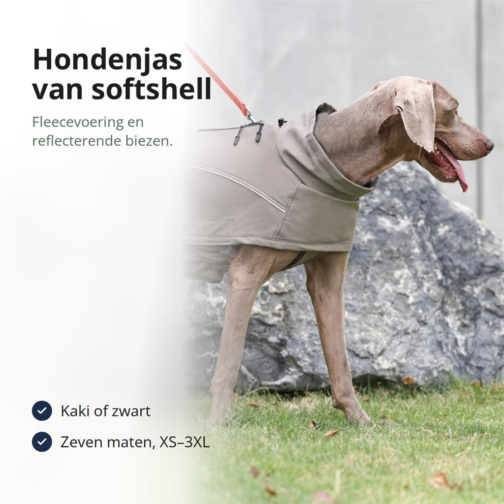 Hond in een kakikleurige softshell hondenjas met fleecevoering op een grasveld