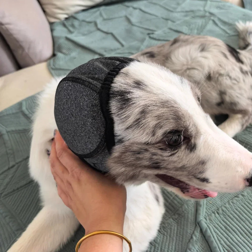Hond met grijze Hetta-hondenmuts ligt op een bed terwijl het baasje hem aait