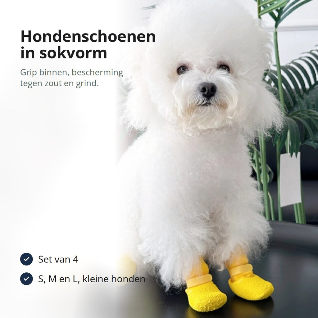 Klein wit hondje dat zit met gele hondensokken aan alle vier de poten, met de tekst: set van 4, S, M en L voor kleine honden