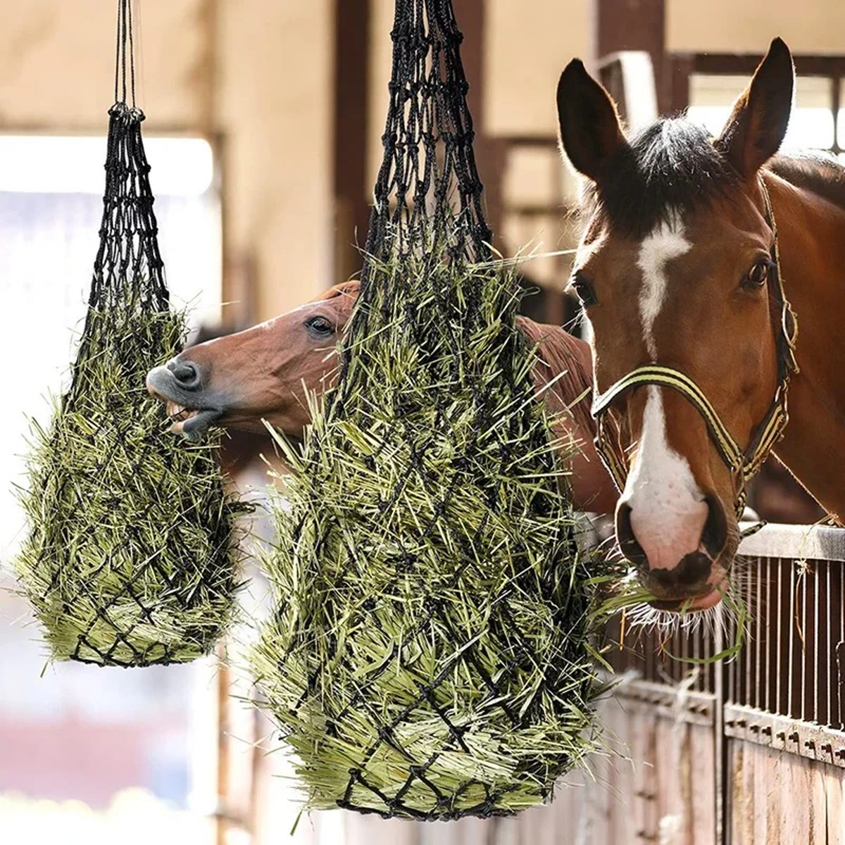 Twee zwarte hooinetten gevuld met hooi in een stal, met twee paarden die eruit eten