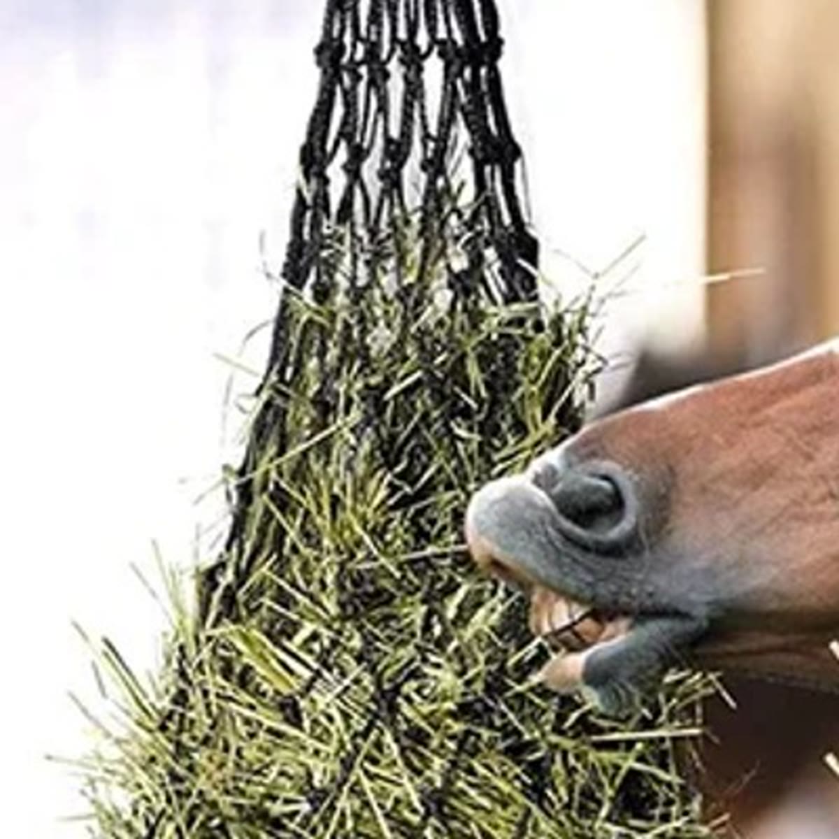 Close-up van een zwart hooinet met ringen bovenaan en een paard dat hooi door de mazen plukt
