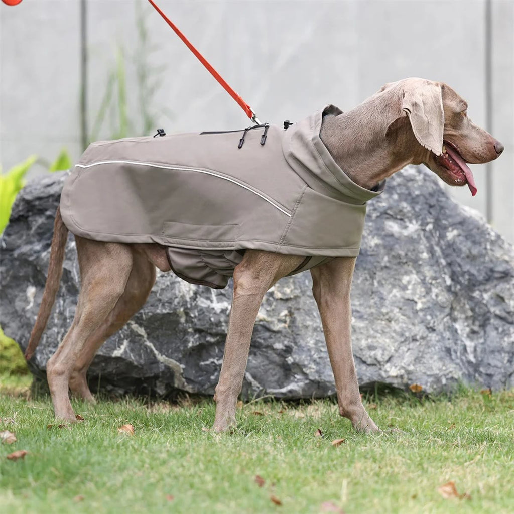 Hond in een kakikleurige hondenjas van opzij voor een rots, met reflecterende bies langs de zijkant