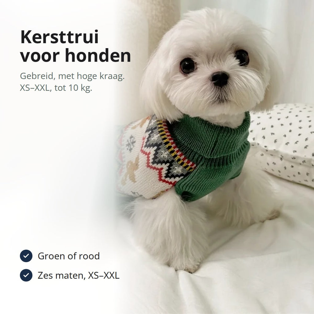 Klein wit hondje in een groene kersttrui met peperkoekmannetjes en hoge kraag