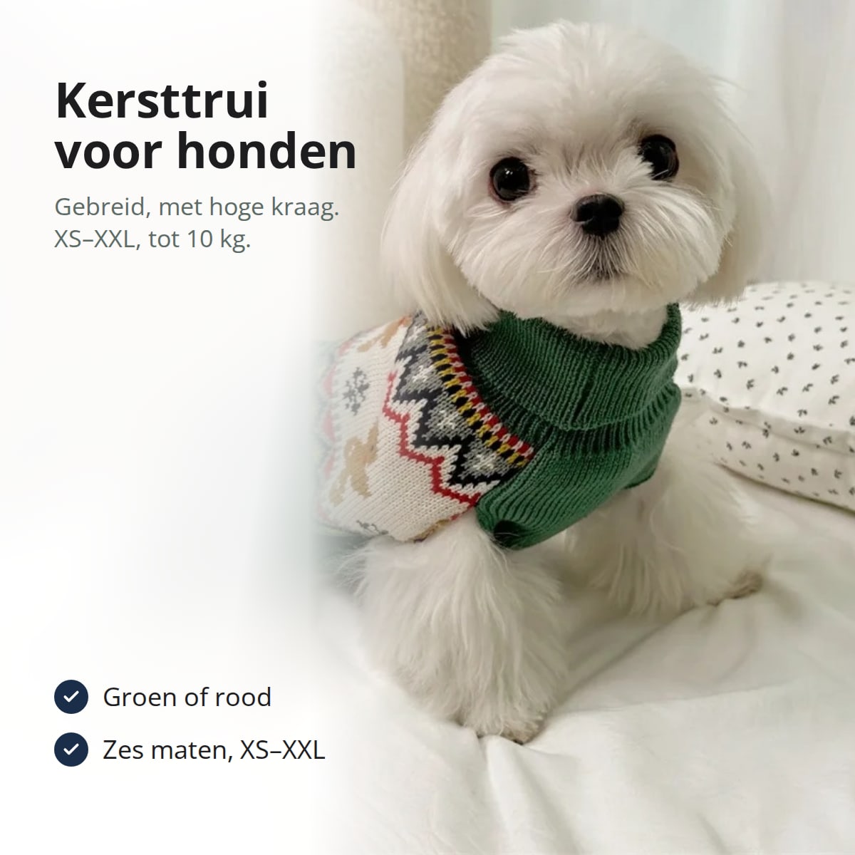 Klein wit hondje in een groene kersttrui met peperkoekmannetjes en hoge kraag