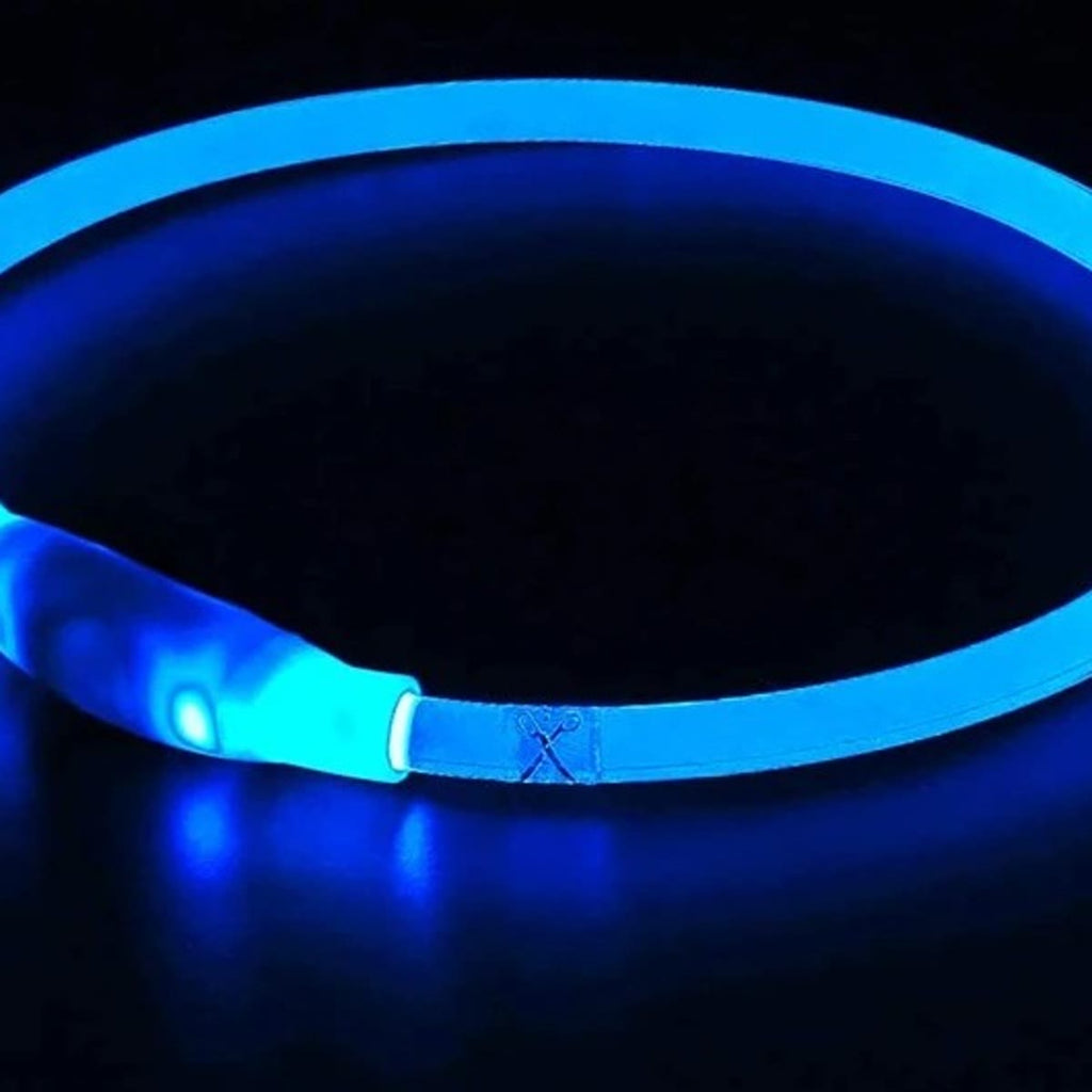 Blauwe lichtgevende halsband die oplicht, met de module en de knipmarkering op de buis