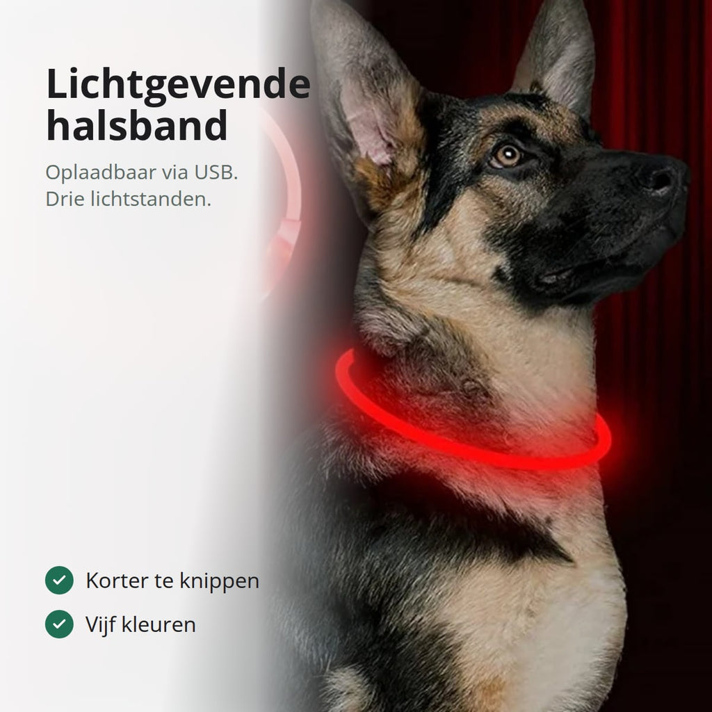Herdershond met een rode lichtgevende halsband die oplicht in het donker