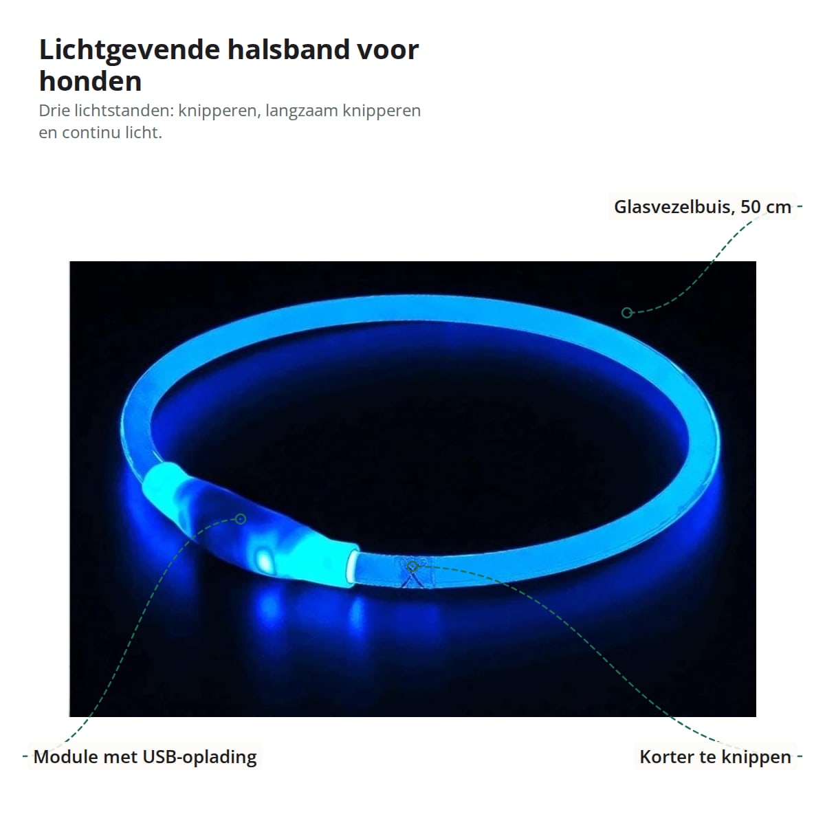 Blauwe lichtgevende halsband met aanduiding van de glasvezelbuis van 50 cm, de module met USB-oplading en de plek waar de buis geknipt kan worden