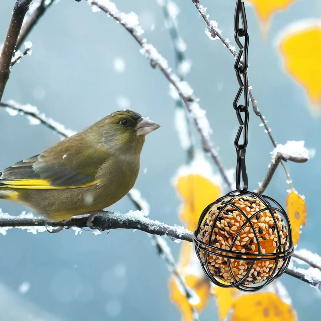Vetbolhouder met een vetbol, hangend aan een besneeuwde tak naast een groenling
