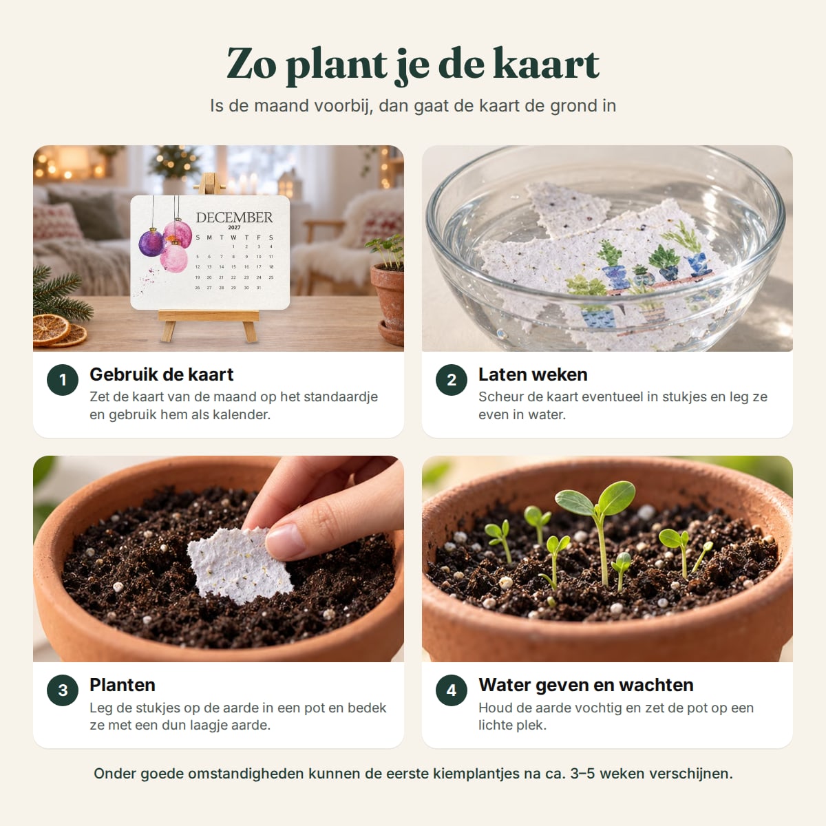 Zo plant je de kaarten van de zaadkalender, stap voor stap
