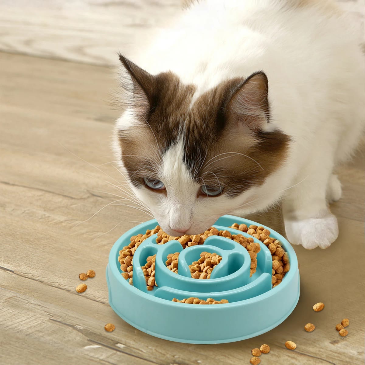 Kat die droogvoer eet uit een turquoise labyrintbak op een houten vloer
