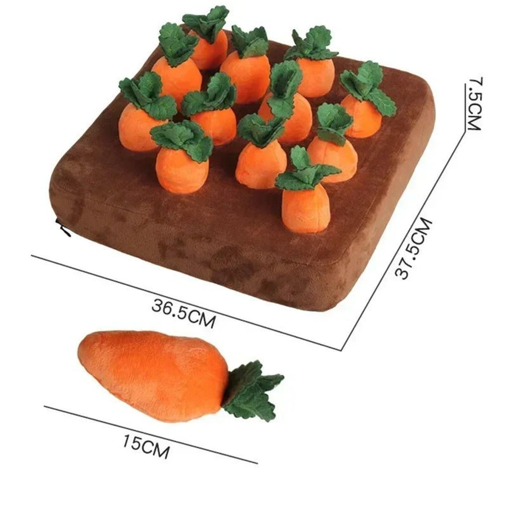 Maatschets van de plaat met twaalf wortels: 36,5 × 37,5 cm en 7,5 cm hoog, wortel 15 cm