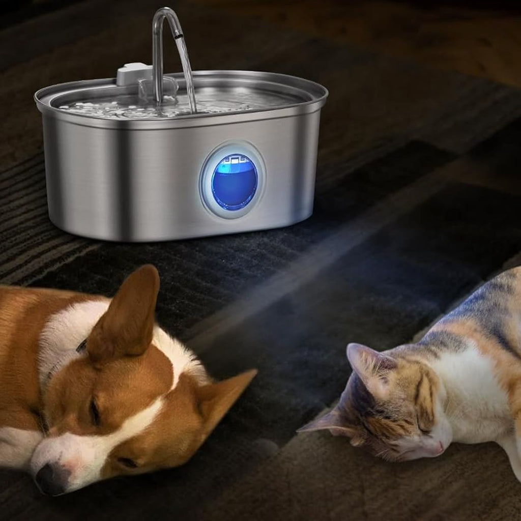 De drinkfontein licht blauw op in een donkere kamer terwijl een hond en een kat ernaast liggen te slapen