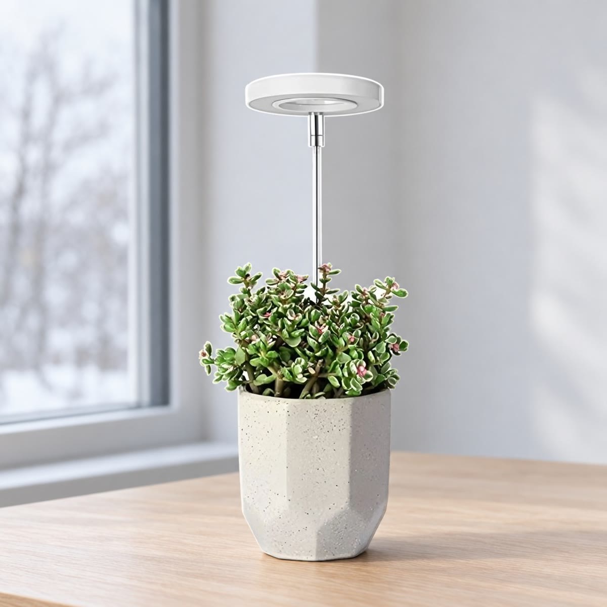 Groeilamp met telescoopstang in een kamerplant op een bureau bij een raam