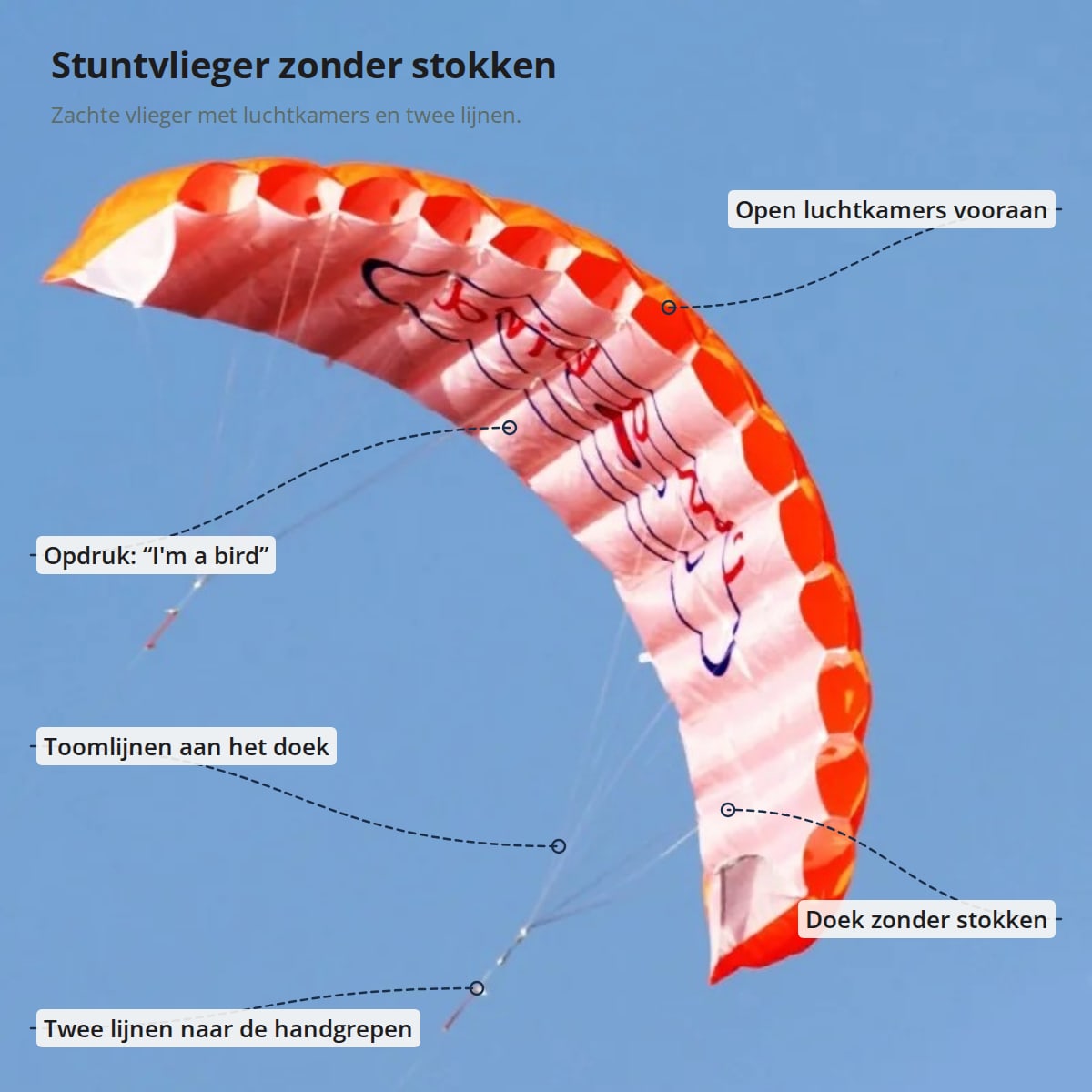 Oranje stuntvlieger met aanduidingen: open luchtkamers, doek zonder stokken, toomlijnen, twee lijnen naar de handgrepen en de opdruk “I'm a bird”